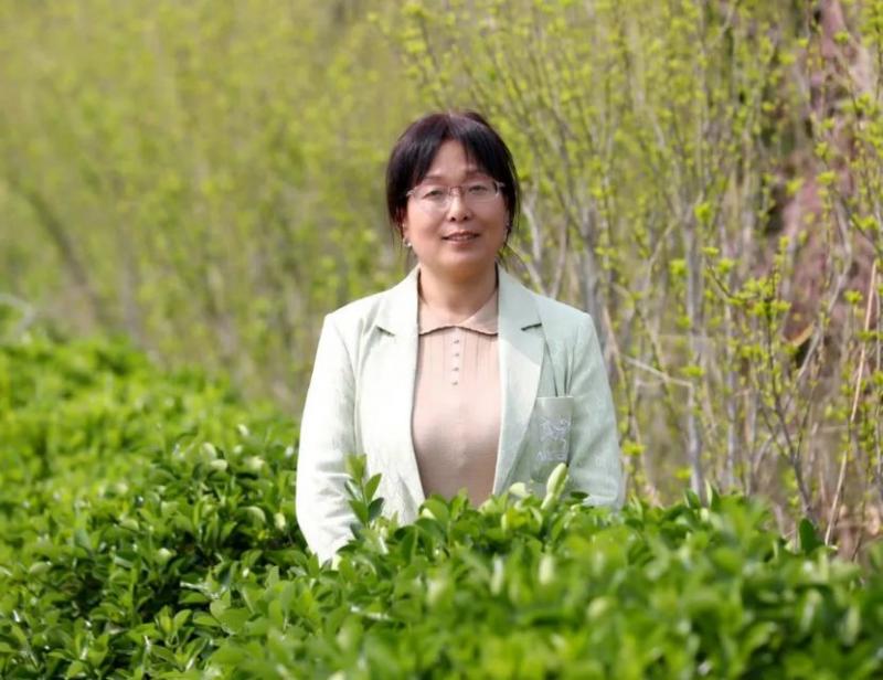 走过泥泞

文/孙宏恩  

窗外，漫天的大雨正扯天扯地倾泻而下，路面的积水 ...