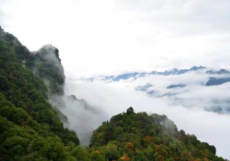 登临少华山（外一首）

其一

运渭双城一水连，
于今步履少华山。
万转千折 ...