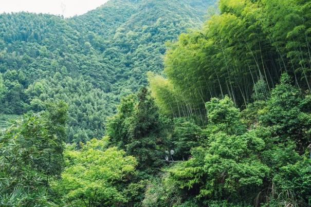 想娘时,针就扎心_散文_杨建义 想娘时,针就扎心_散文_杨建义