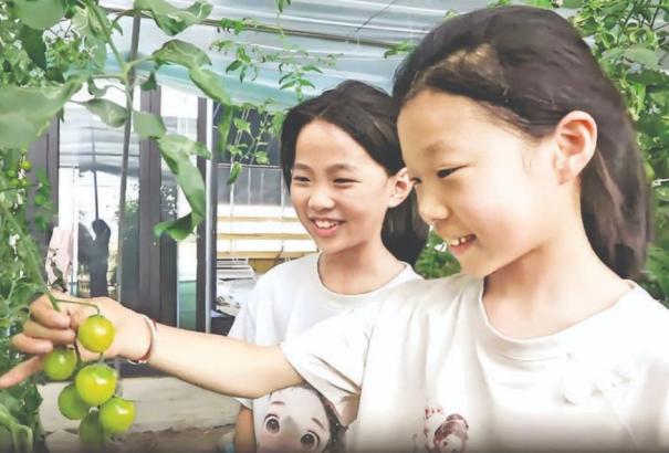 蓝莓自由在绛县冷口乡横岭关村生根发芽