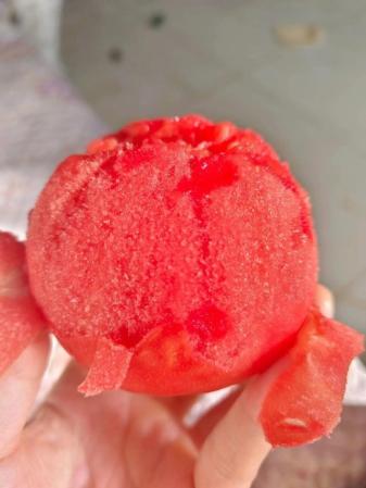 “老式沙瓤”西红柿_一村一品
