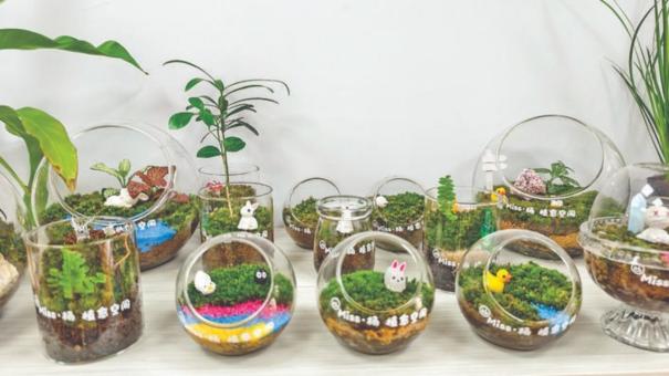 miss·杨 植愈空间 miss·杨 植愈空间