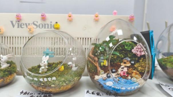 miss·杨 植愈空间 miss·杨 植愈空间