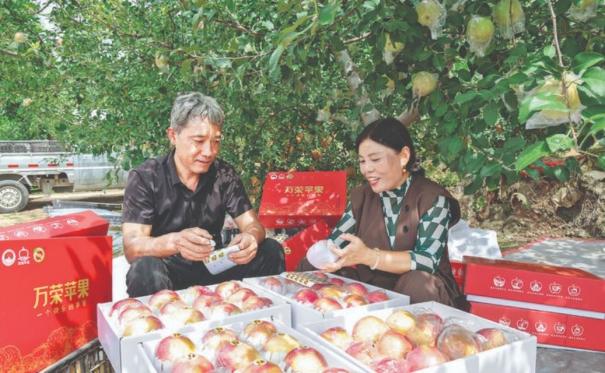 万荣苹果铸就品牌传奇 ——解码47.54亿元品牌价值的攀登之路