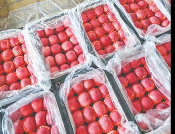 万荣苹果铸就品牌传奇 ——解码47.54亿元品牌价值的攀登之路