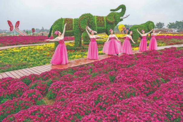 全国“四季村晚”芮城菊花小镇启幕